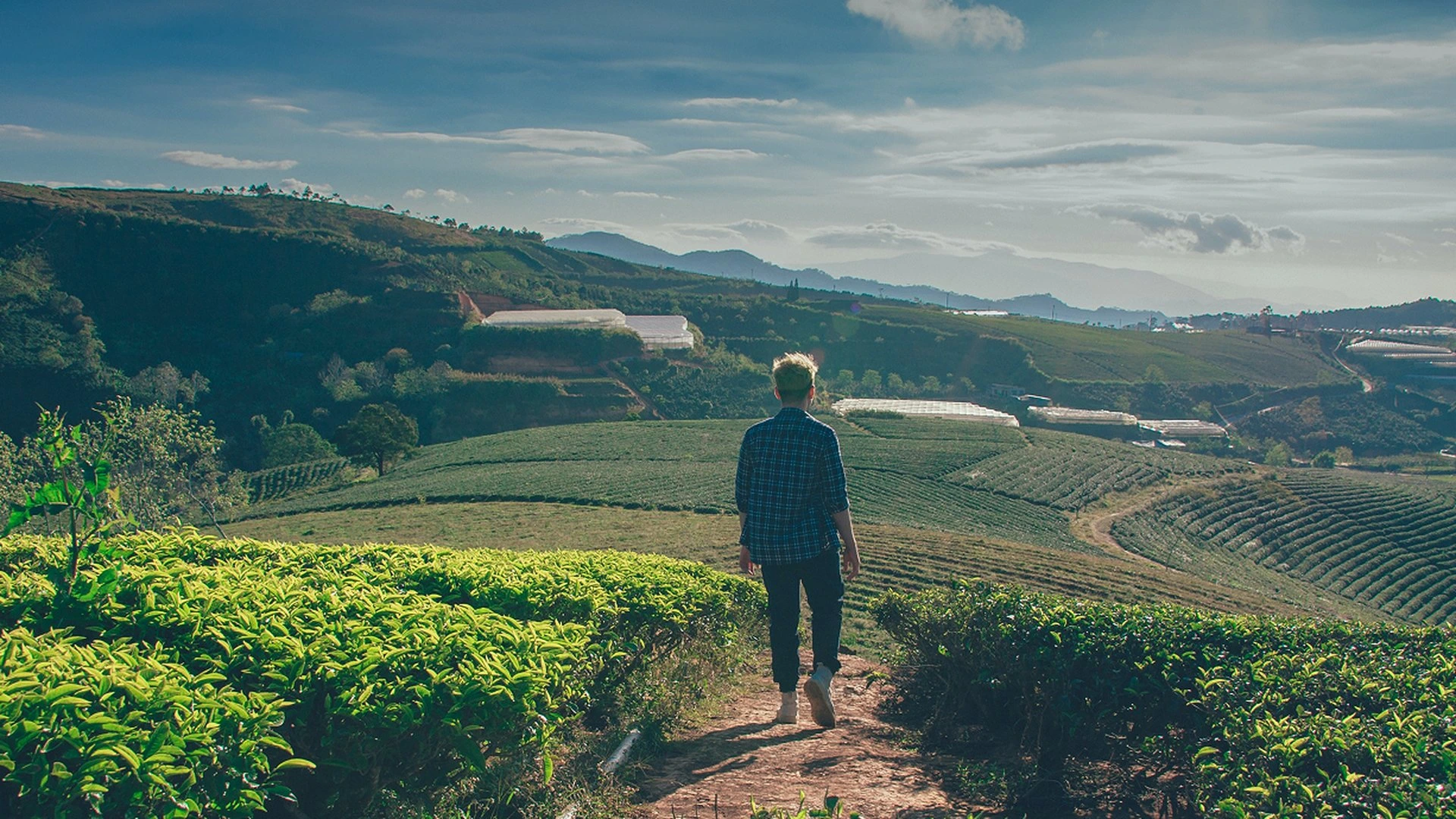 Imóveis rurais à venda em todo o Brasil com tecnologia territorial Atlas Rural