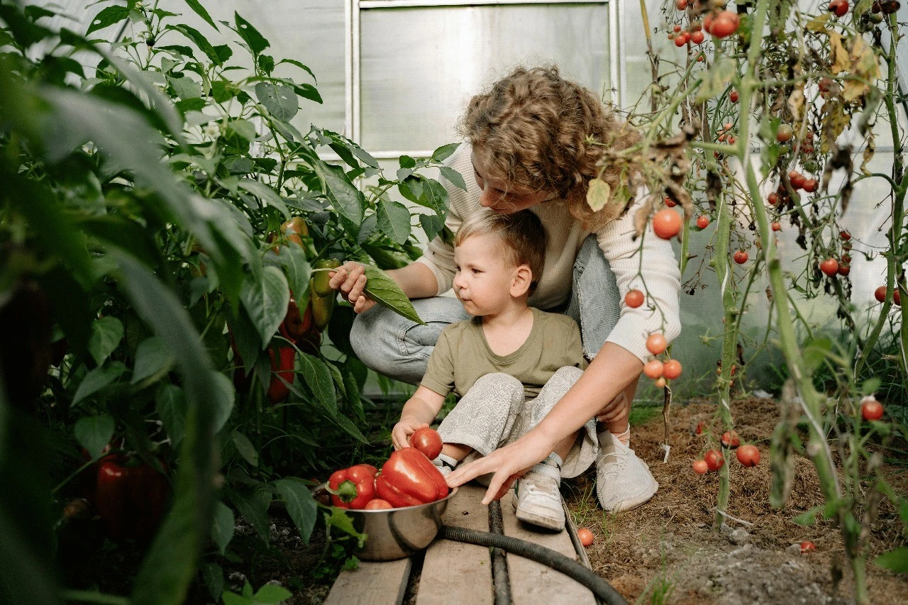 Mãe e filho colhendo legumes em uma horta, representando qualidade de vida e conexão com a terra.