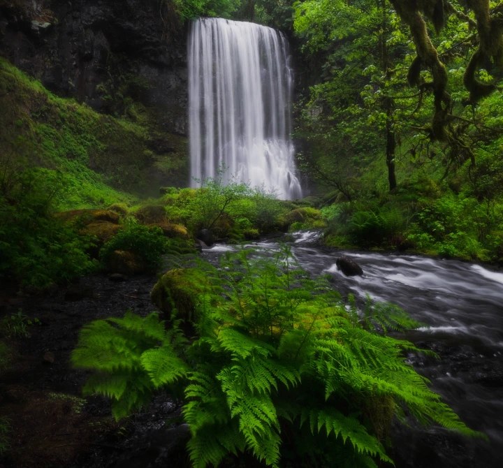 Imagem de uma cachoeira em área de preservação